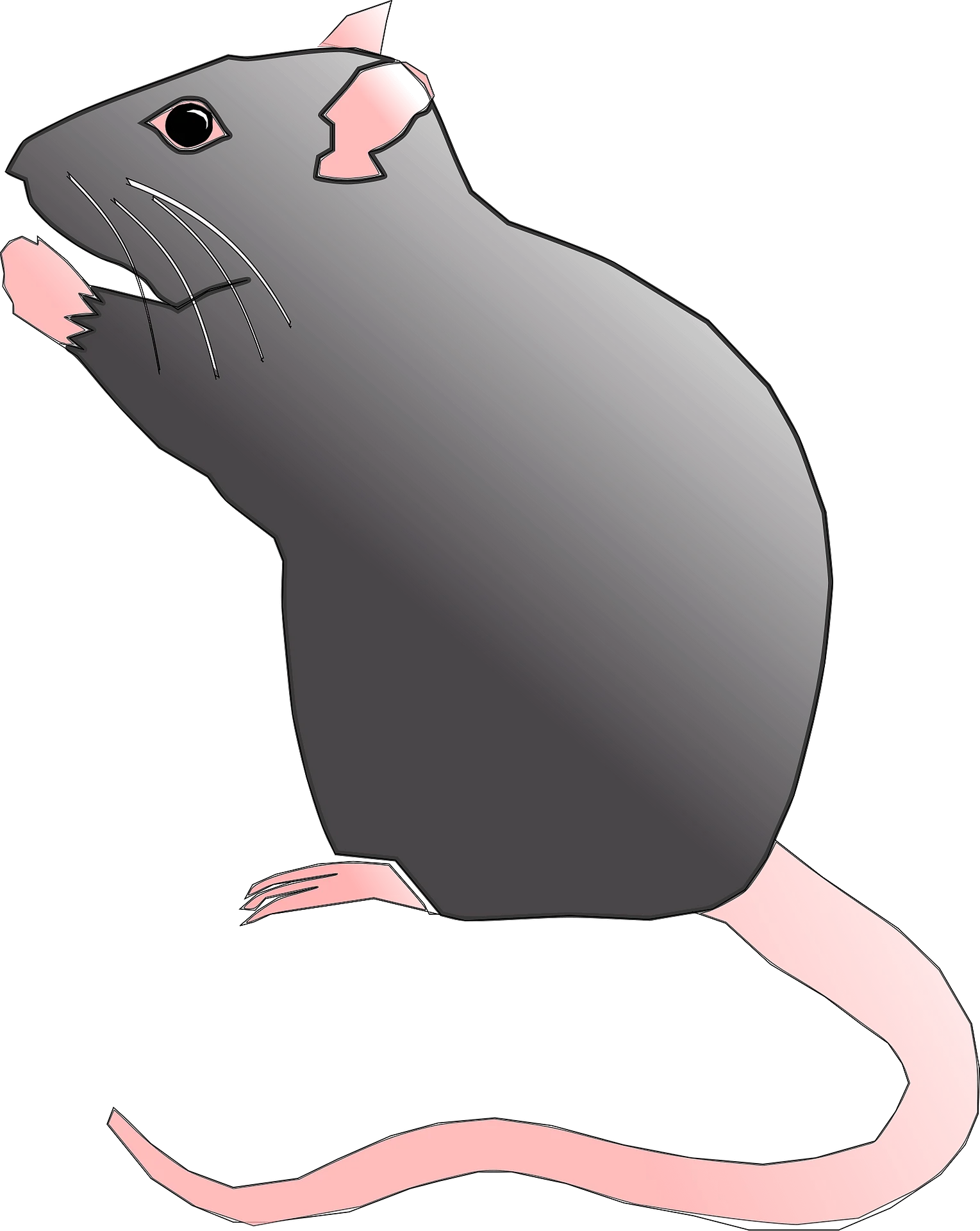 Minimalist Gray and Pink Laboratory Rat Clipart Illustration Design