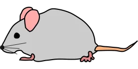 Minimalist Gray Mouse Clipart Illustration with Soft Pink Ears