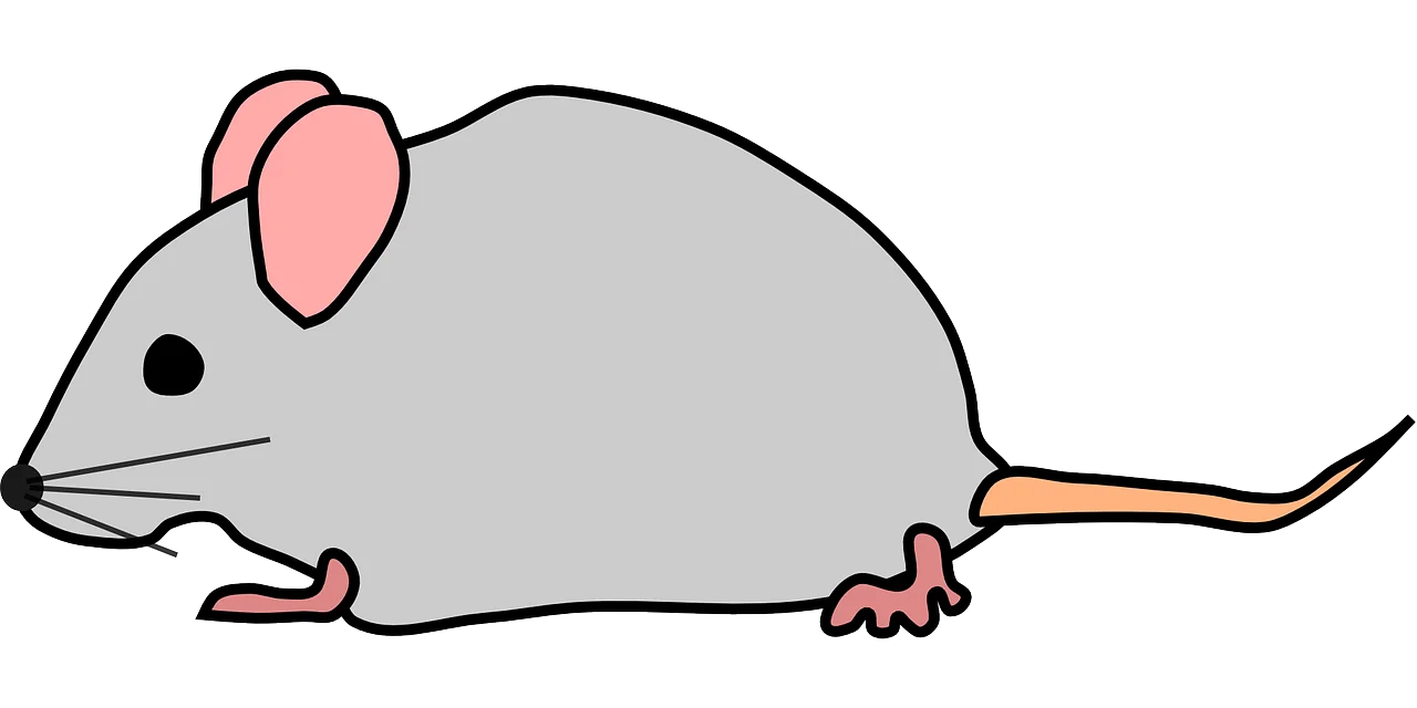 Minimalist Gray Mouse Clipart Illustration with Soft Pink Ears