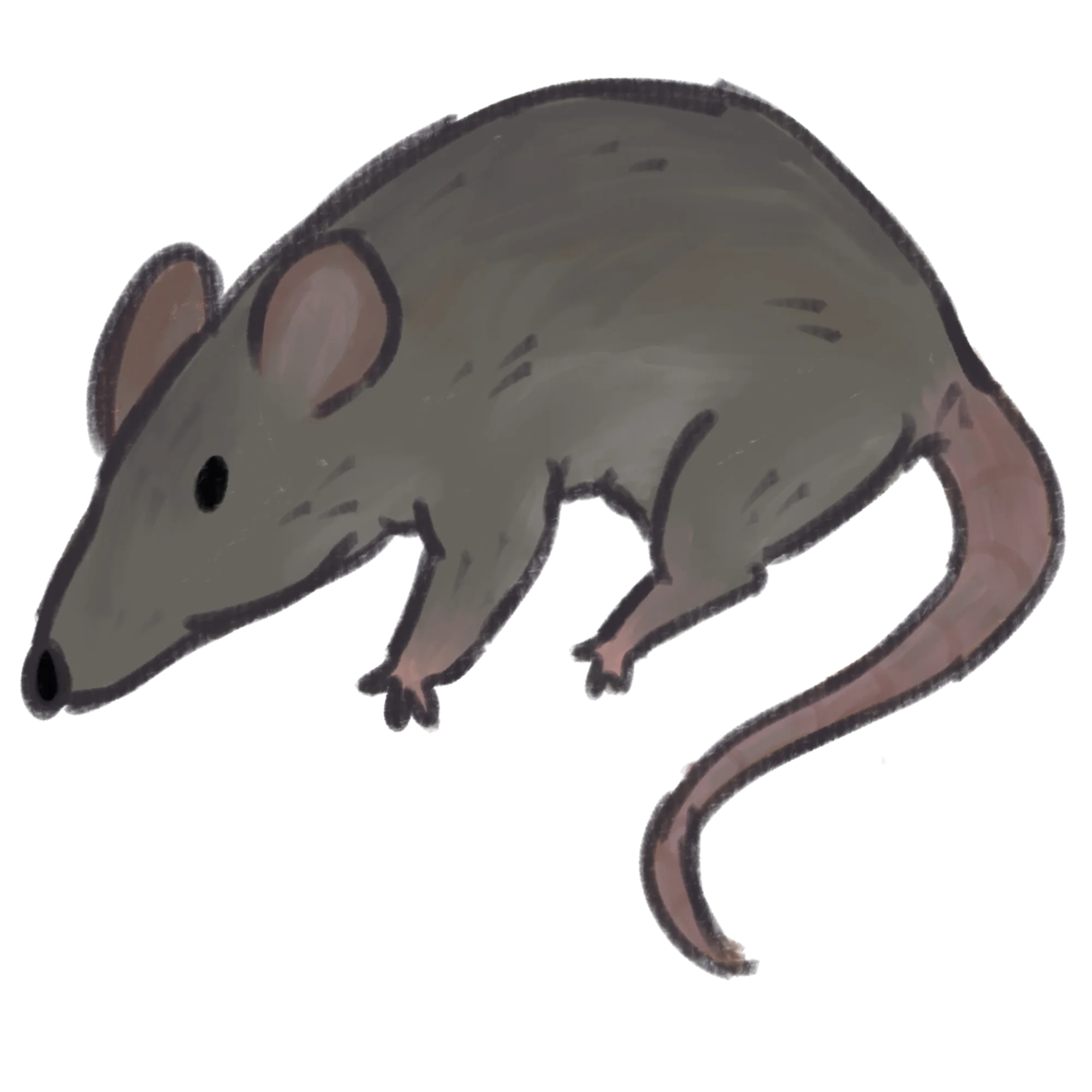 Minimalist Gray Rat Clipart Illustration with Simple Stylized Design