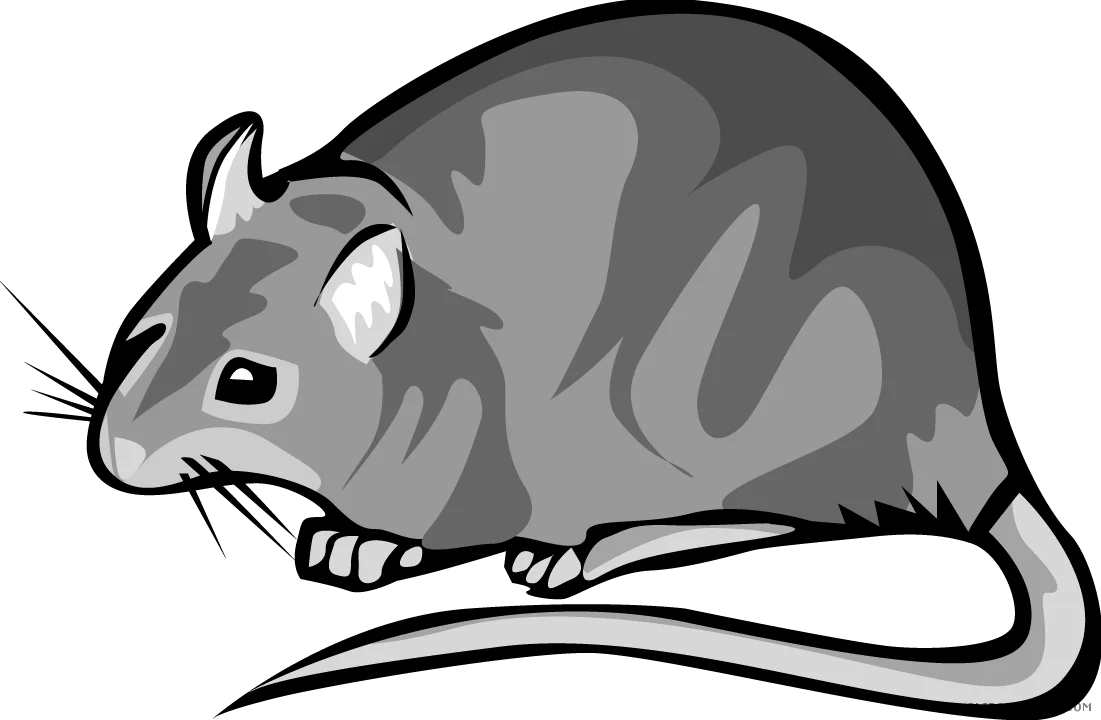 Monochrome Grayscale Rat Clipart Illustration with Sleek Stylized Design