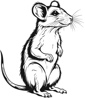 Monochrome Hand-Drawn Rat Clipart Illustration with Stylized Line Art Design