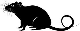 Silhouette of a Stylized Rat Clipart with Distinctive Curving Tail and Whiskers