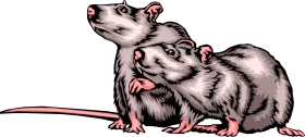 Vintage Monochrome Rodent Companions Artistic Rat Clipart Illustration