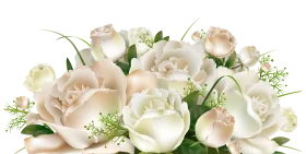 Elegant Soft White Roses Clipart - Delicate Floral Arrangement Illustration