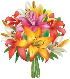 Radiant Lily Bouquet Clipart: A Burst of Colorful Floral Elegance