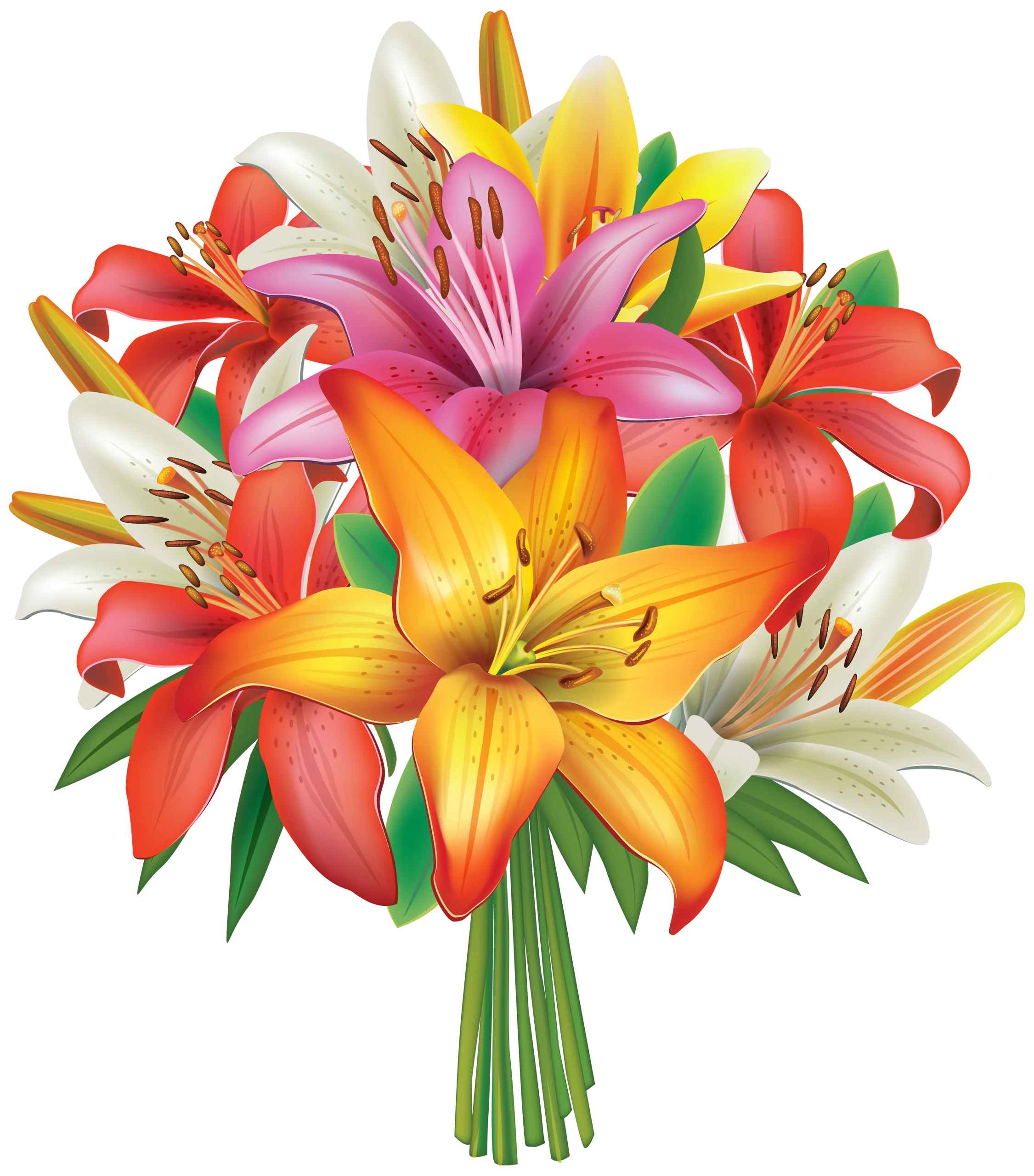 Radiant Lily Bouquet Clipart: A Burst of Colorful Floral Elegance