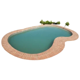 Elegant Kidney-Shaped Swimming Pool Clipart with Decorative Landscape Elements