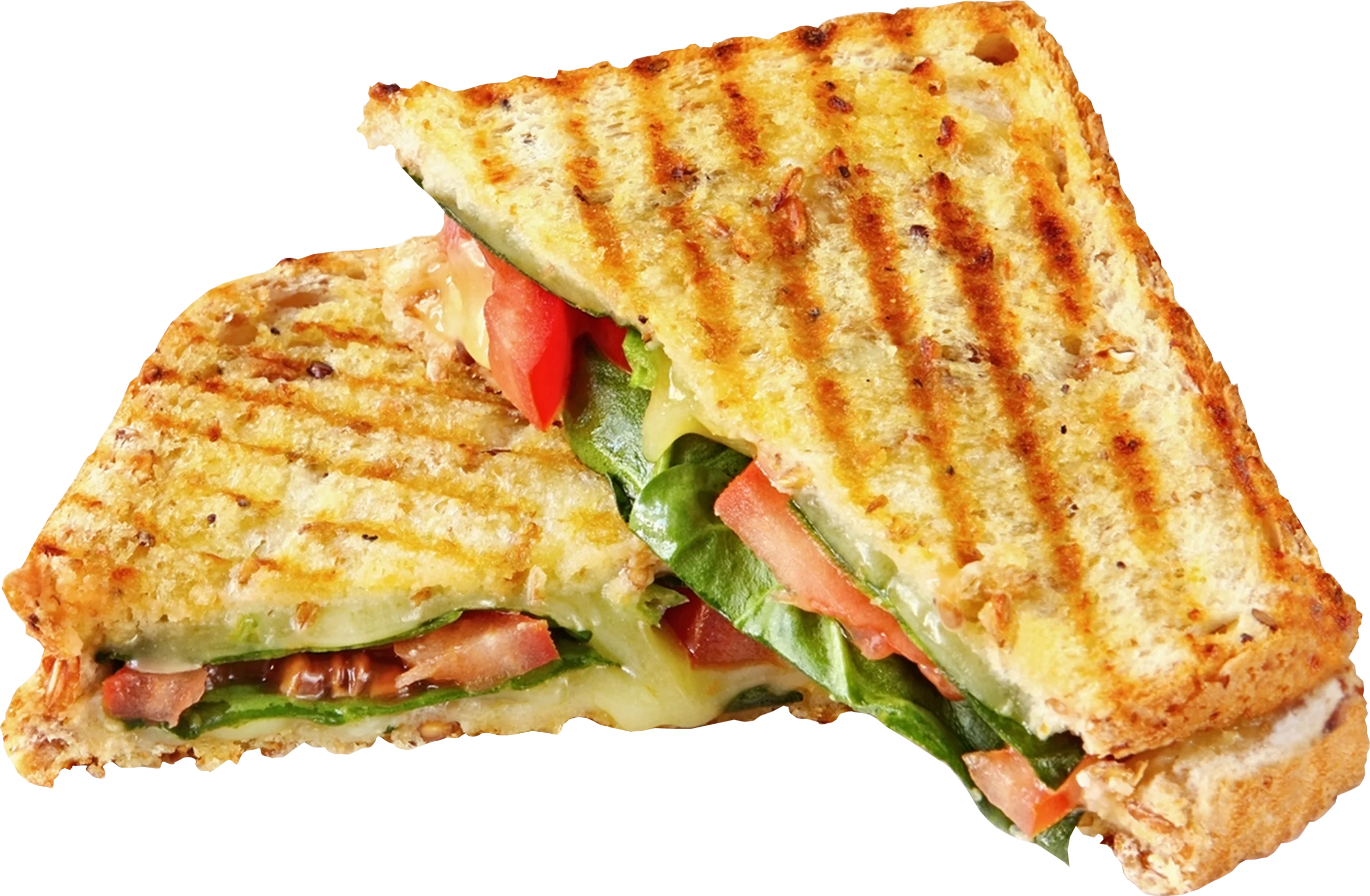 Deliciously Grilled Panini Sandwich Clipart with Golden Grill Marks and Fresh Ingredients