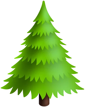 Lush Green Pine Tree Clipart Illustration with Layered Needle Branches