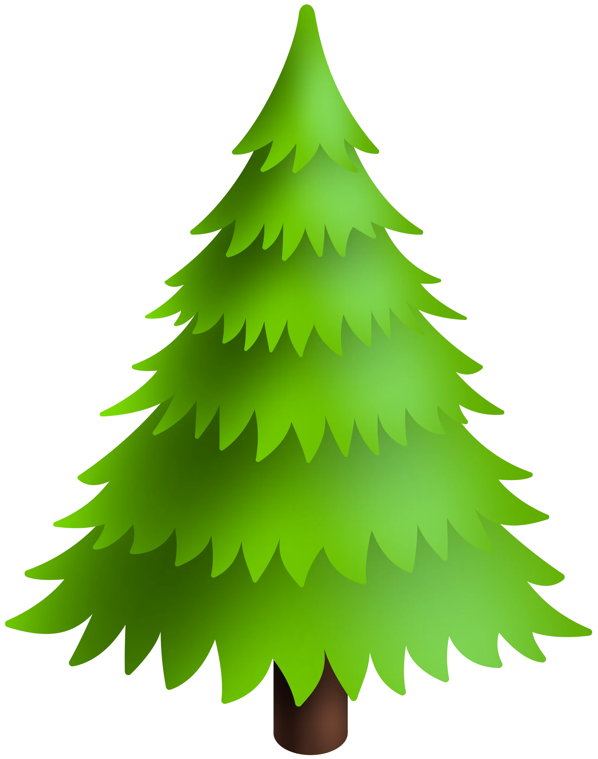 Lush Green Pine Tree Clipart Illustration with Layered Needle Branches