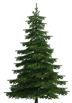 Majestic Evergreen Pine Tree Clipart: A Detailed Woodland Symbol of Resilience