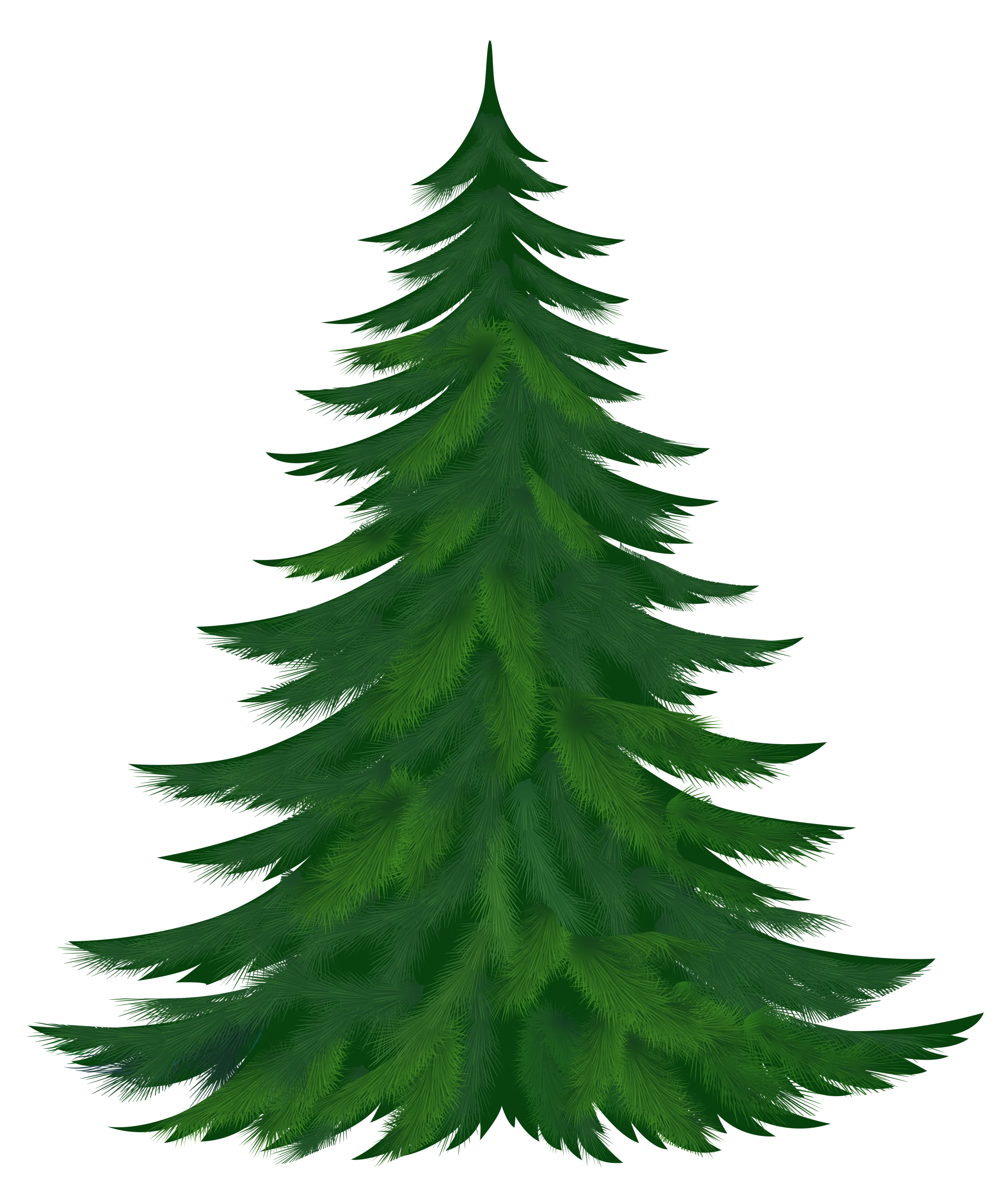 Majestic Evergreen Pine Tree Clipart: A Lush Forest Symbol of Wilderness