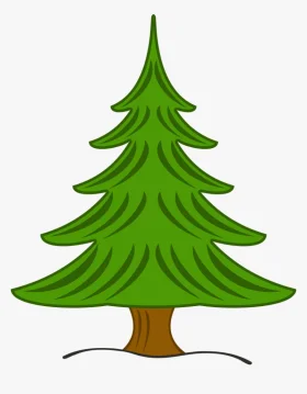 Classic Evergreen Pine Tree Clipart Illustration with Stylized Branches