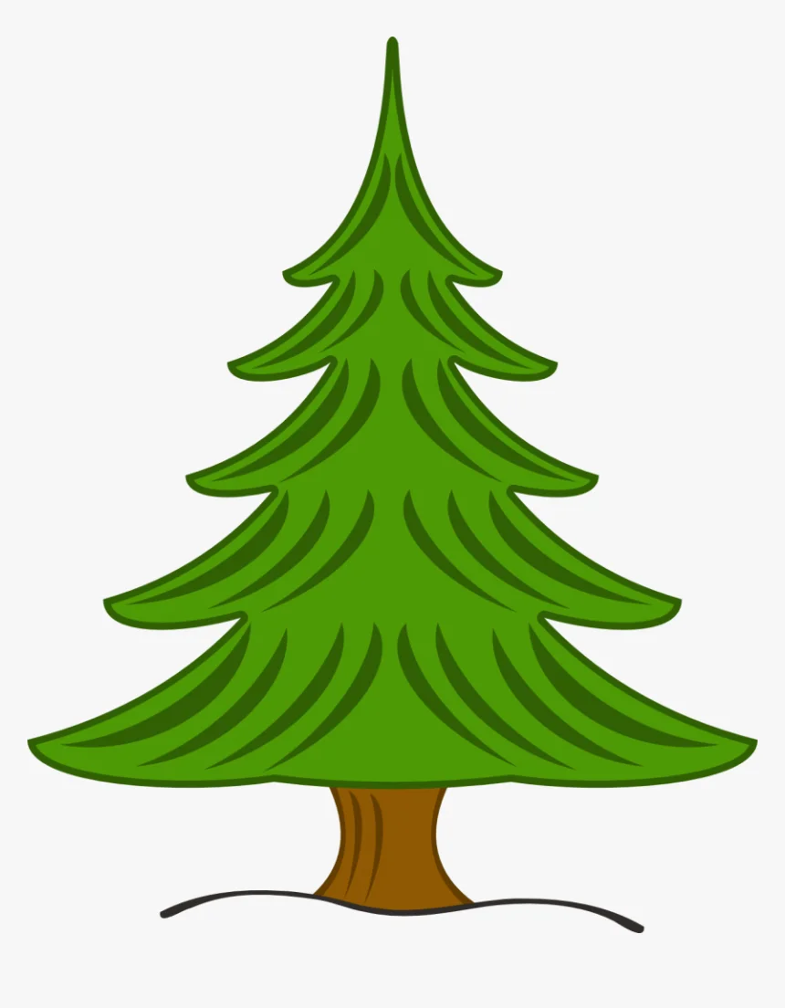 Classic Evergreen Pine Tree Clipart Illustration with Stylized Branches