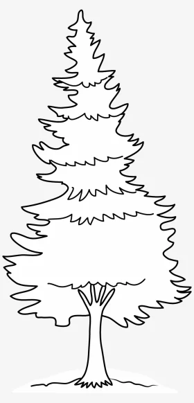 Elegant Black and White Pine Tree Outline Clipart for Design Projects