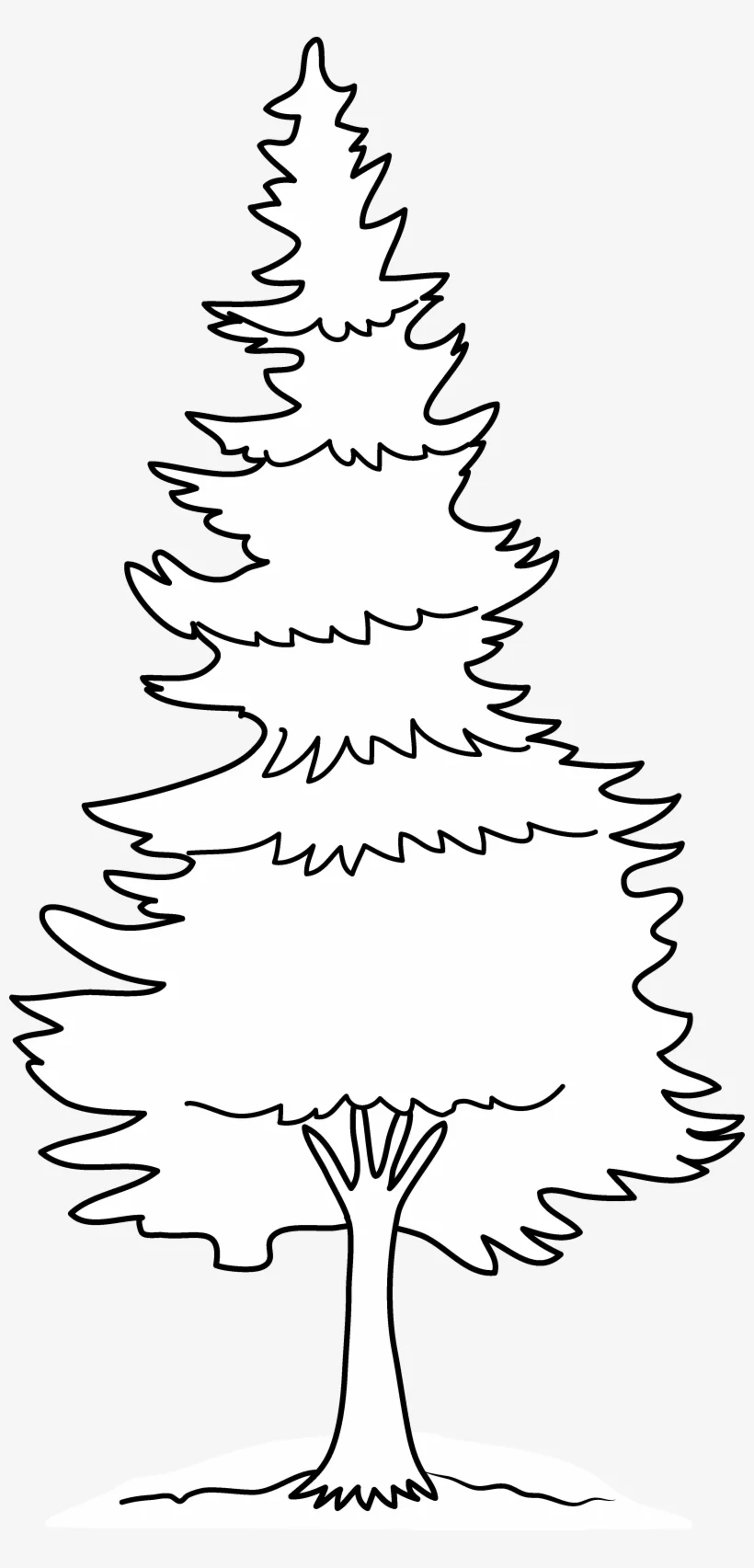 Elegant Black and White Pine Tree Outline Clipart for Design Projects