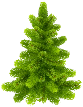 Lush Green Evergreen Pine Tree Clipart with Soft Textured Needles