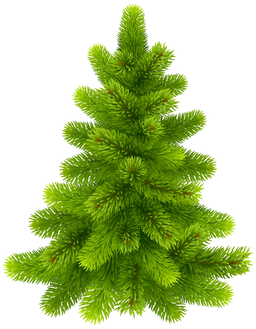 Lush Green Evergreen Pine Tree Clipart with Soft Textured Needles