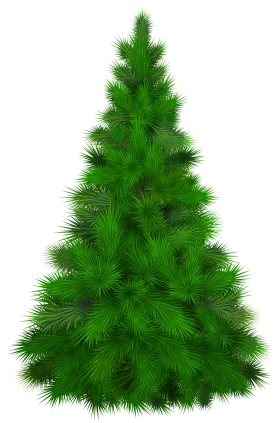 Lush Green Pine Tree Clipart: A Detailed Evergreen Illustration with Soft Needles