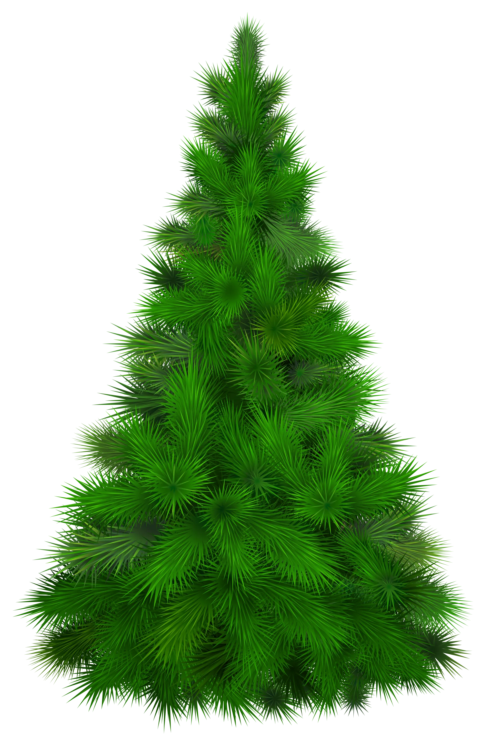Lush Green Pine Tree Clipart: A Detailed Evergreen Illustration with Soft Needles