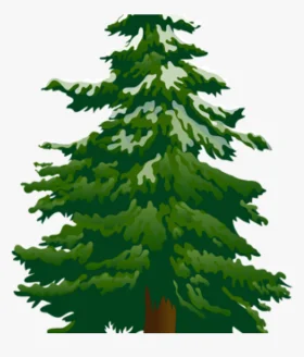 Majestic Evergreen Pine Tree Clipart Illustration with Lush Green Branches