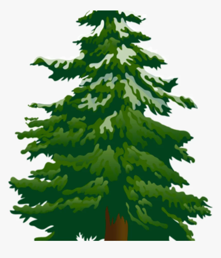 Majestic Evergreen Pine Tree Clipart Illustration with Lush Green Branches