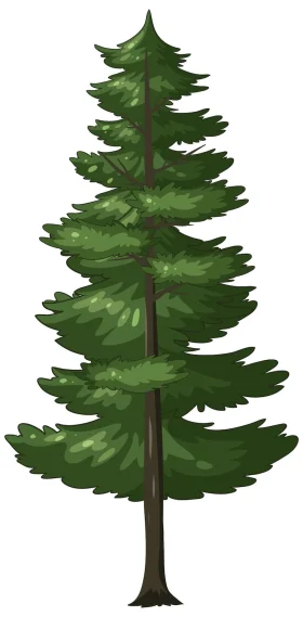 Majestic Evergreen Pine Tree Forest Silhouette Clipart Illustration