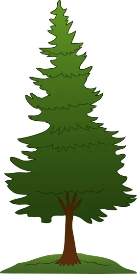 Majestic Green Pine Tree Clipart Illustration with Lush Foliage and Sturdy Trunk