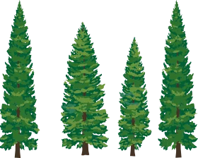 Serene Forest Pine Trees Clipart Collection - Lush Green Woodland Illustrations