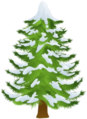 Serene Winter Pine Tree Clipart with Soft Snow-Covered Branches