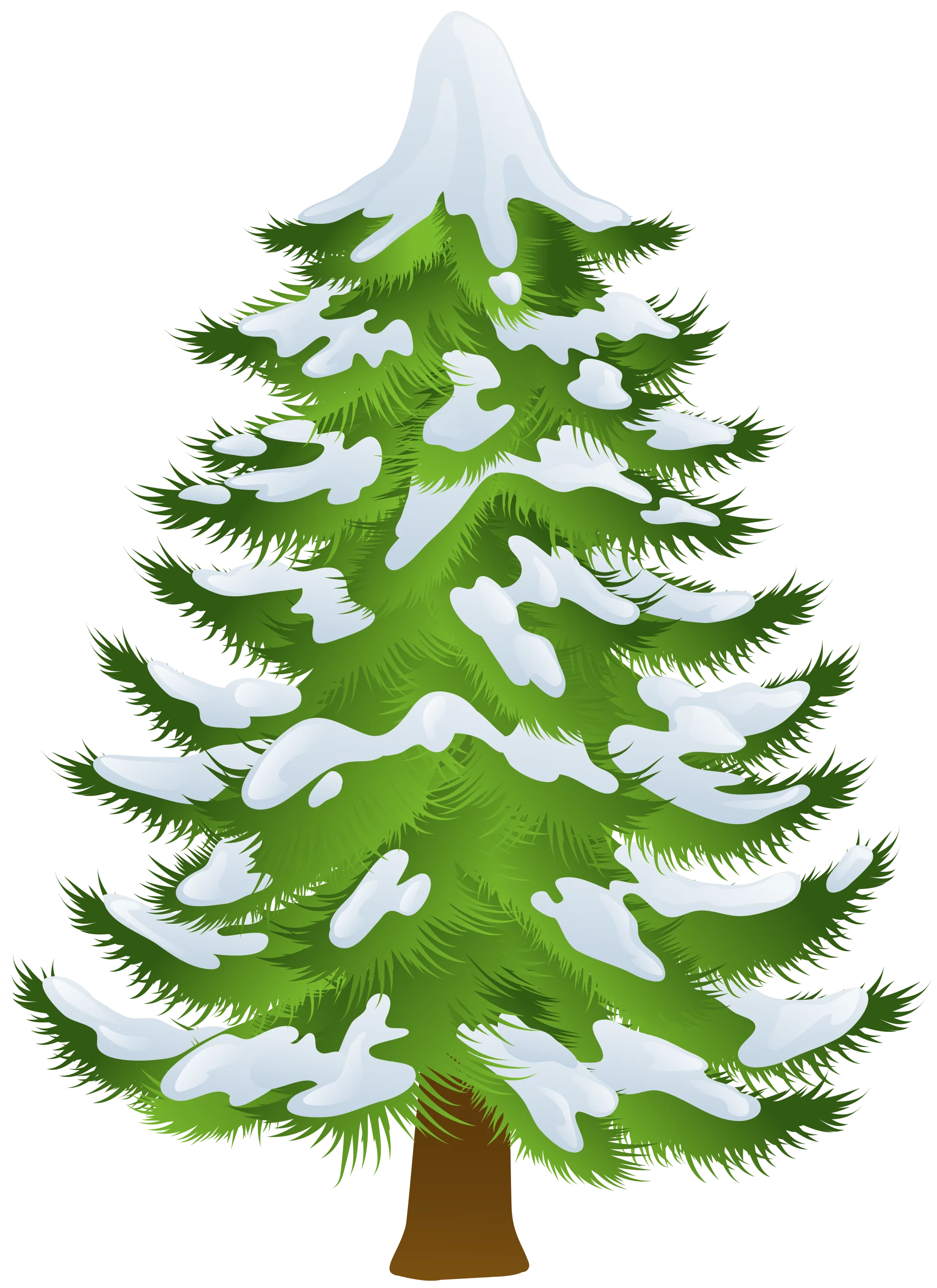 Serene Winter Pine Tree Clipart with Soft Snow-Covered Branches