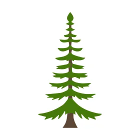 Stylized Evergreen Pine Tree Clipart with Symmetrical Layered Branches