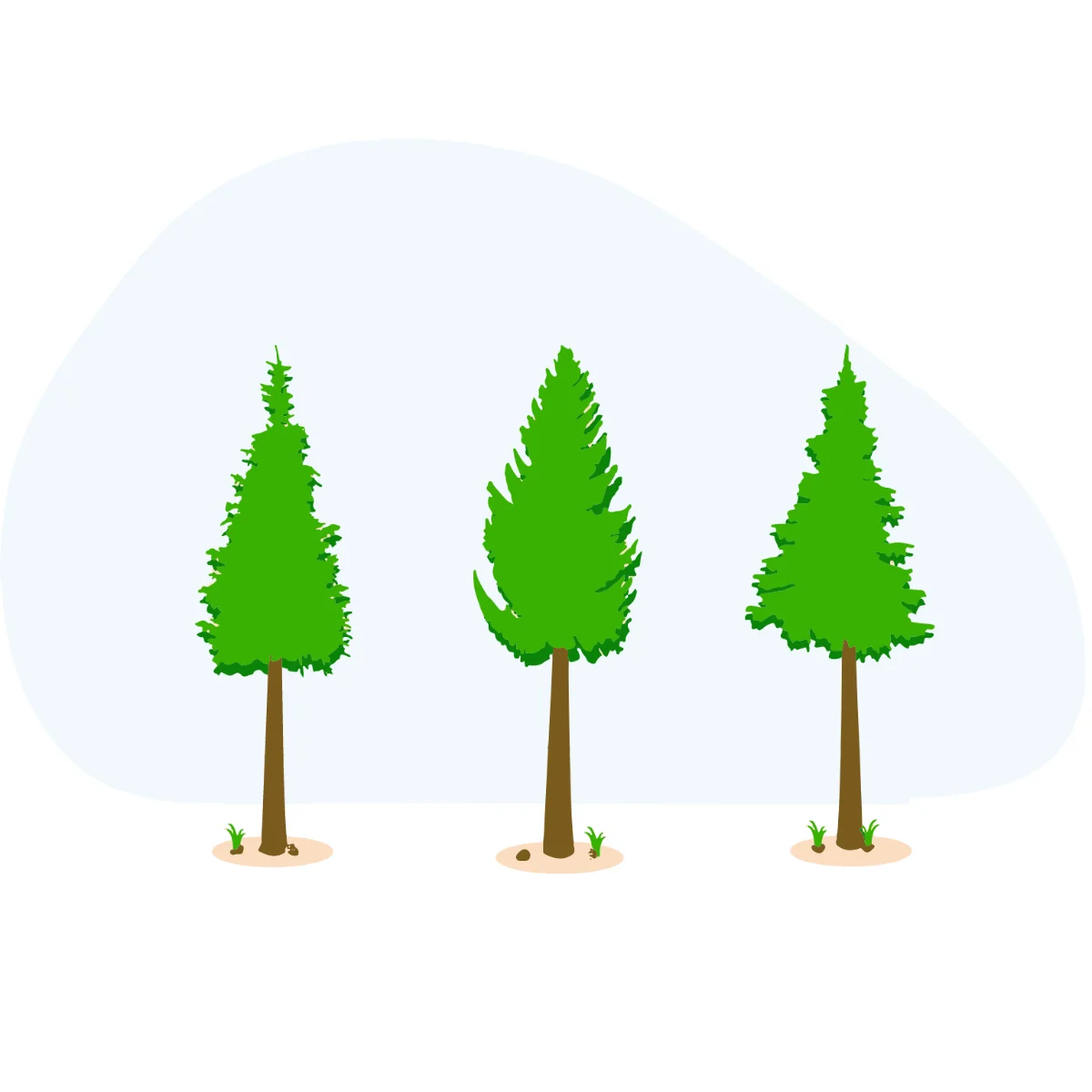 Three Serene Evergreen Pine Trees Minimalist Nature Clipart Design