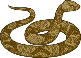 Detailed Golden-Brown Coiled Snake Clipart Illustration with Intricate Scales