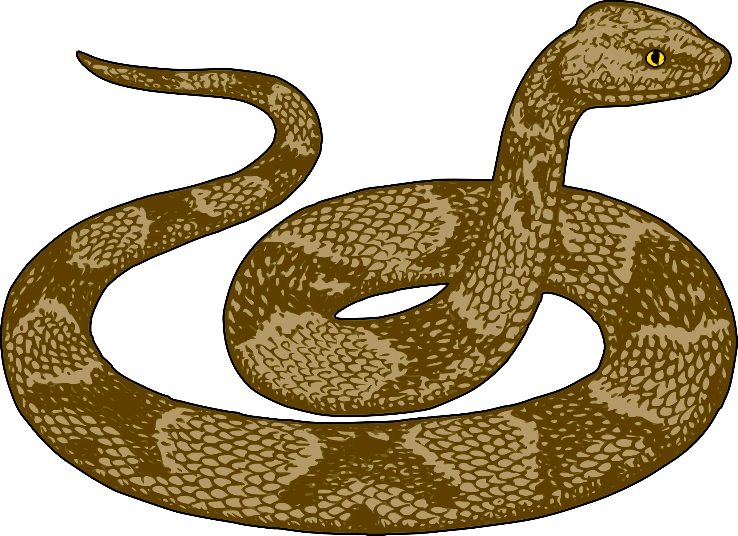 Detailed Golden-Brown Coiled Snake Clipart Illustration with Intricate Scales