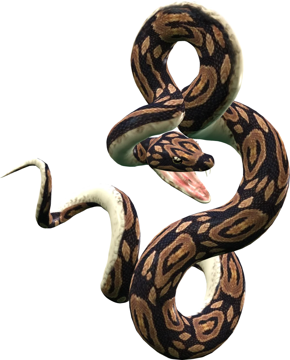Intricate Coiled Ball Python Snake Realistic Digital Clipart Illustration