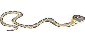 Intricately Patterned Serpentine Clipart with Sinuous Curved Body Design