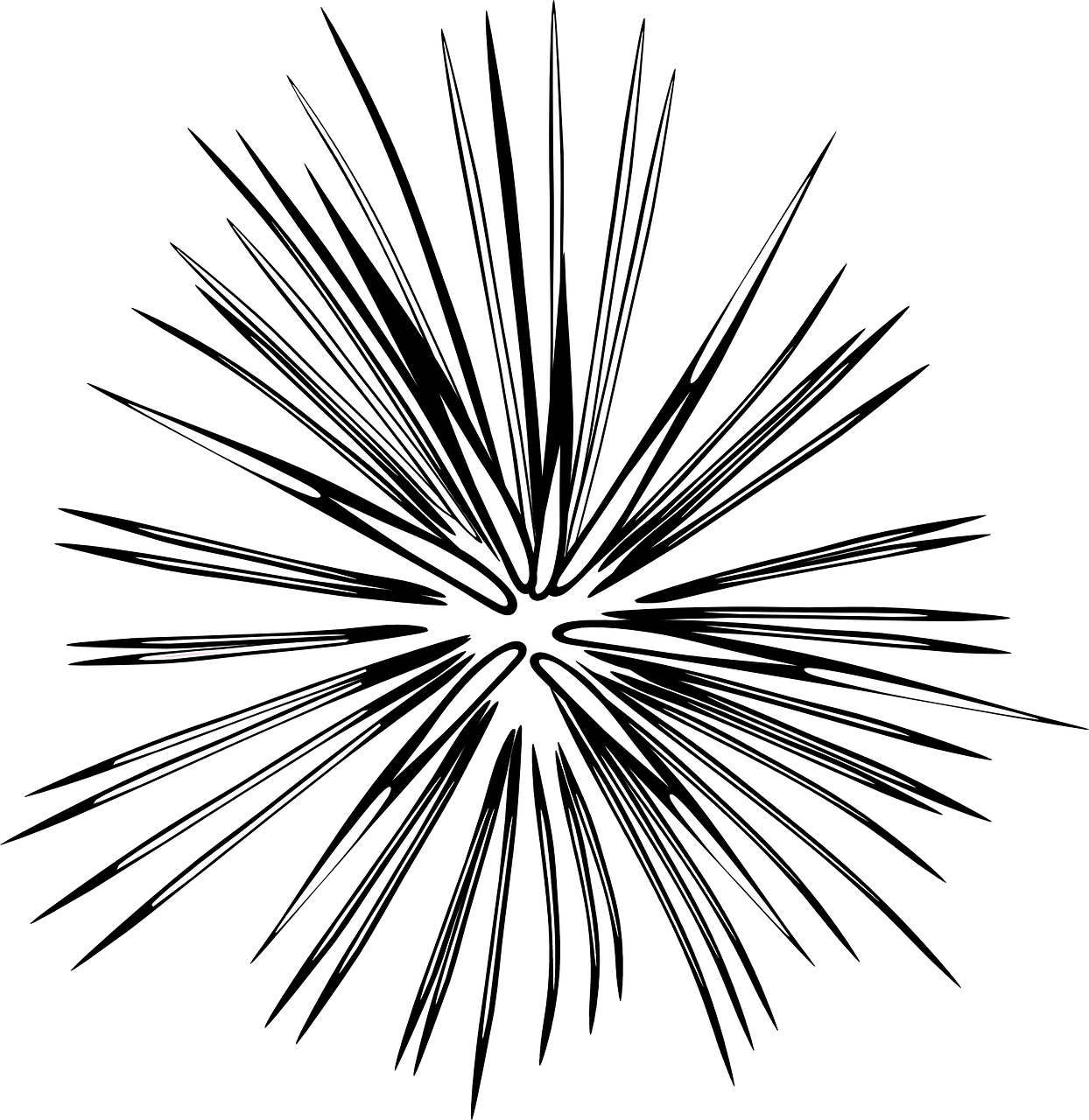 Monochrome Radial Burst Starburst Explosion Clipart Design Element