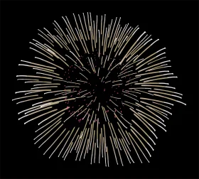 Radiant Monochrome Starburst Fireworks Clipart - Explosive Night Sky Design