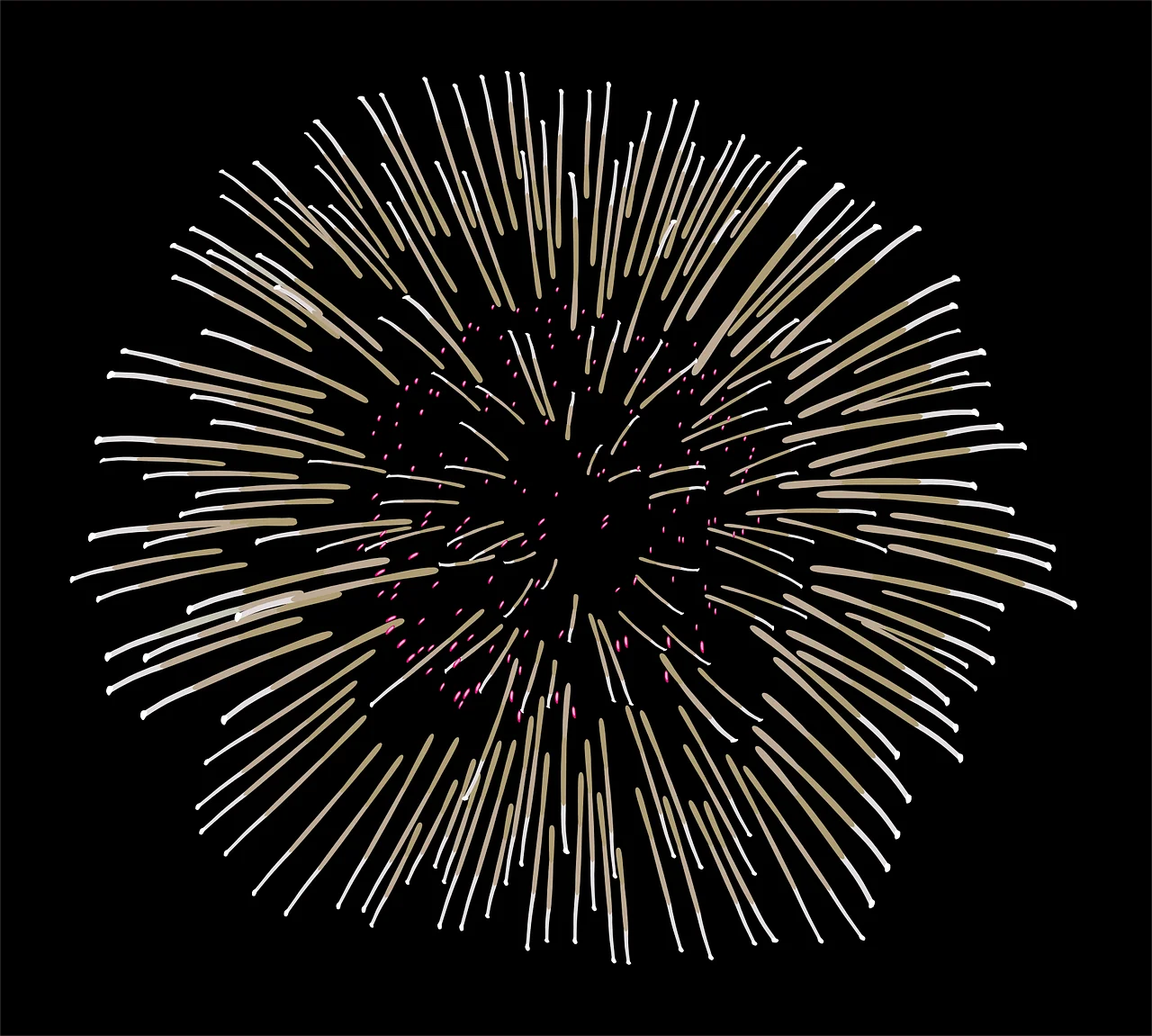 Radiant Monochrome Starburst Fireworks Clipart - Explosive Night Sky Design