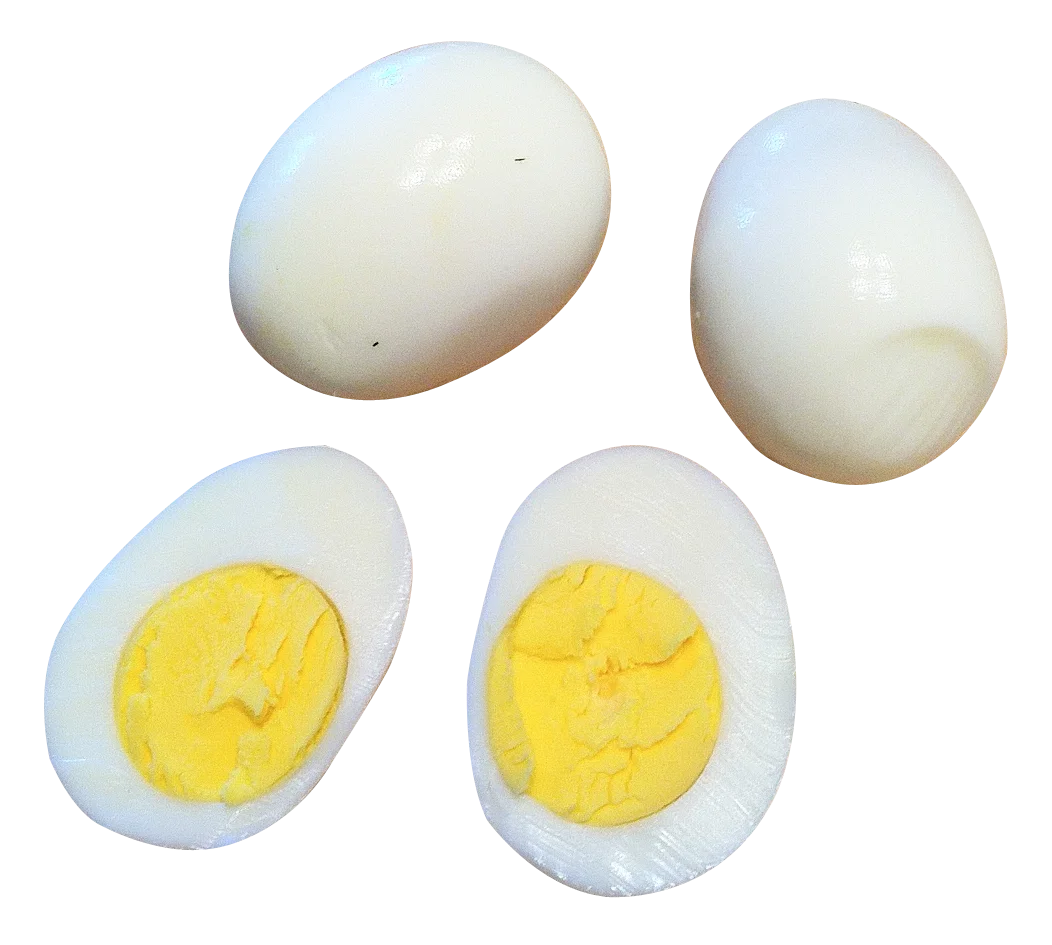 Fresh Boiled Eggs Clipart: Whole and Halved Eggs with Golden Yolk Illustration