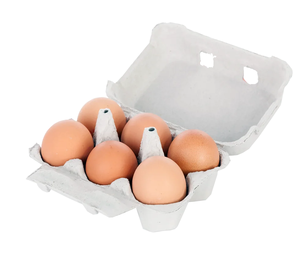 Fresh Farm Eggs Nestled in a Pristine White Cardboard Clipart Carton