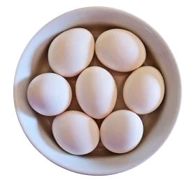 Fresh White Eggs Arranged Symmetrically in a Soft Ceramic Bowl Clipart Design