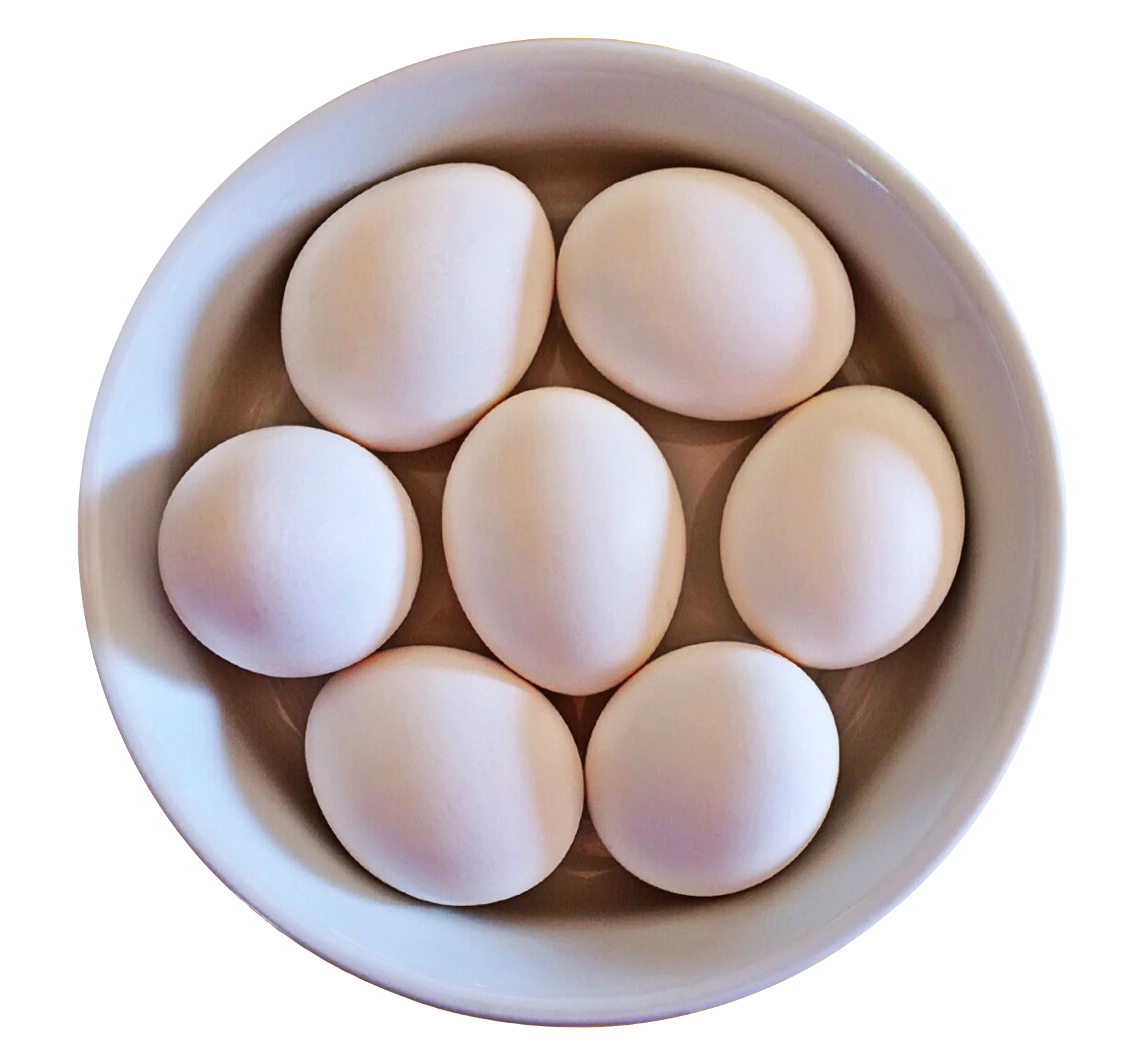 Fresh White Eggs Arranged Symmetrically in a Soft Ceramic Bowl Clipart Design