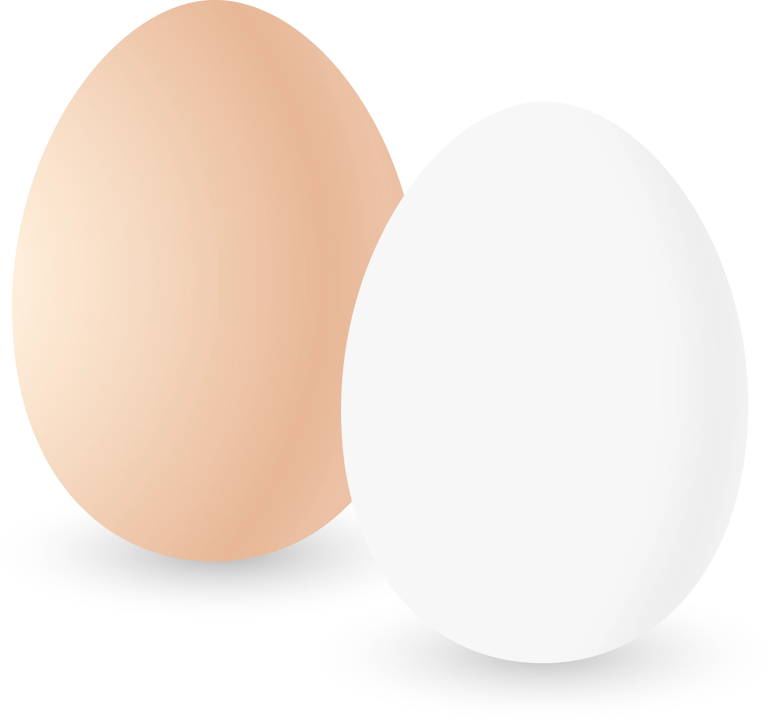 Minimalist Soft-Toned Egg Clipart Illustration with Two Distinct Color Variations