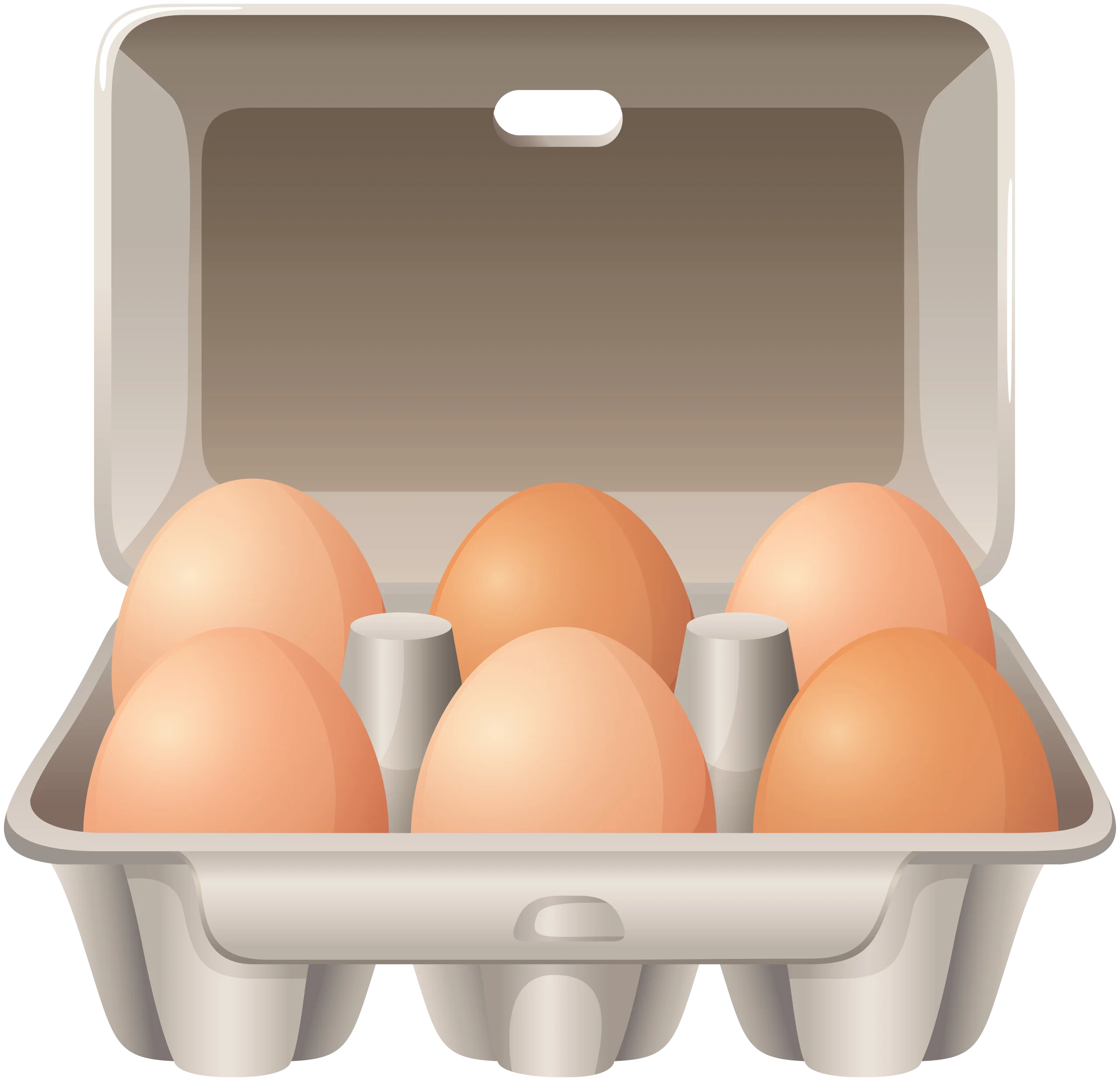 Realistic Egg Carton Clipart Showcasing Six Fresh Brown Chicken Eggs