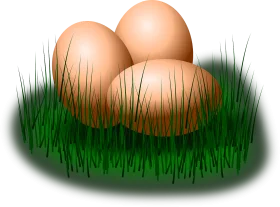 Three Fresh Farm Eggs Nestled in Lush Green Grass Clipart Illustration