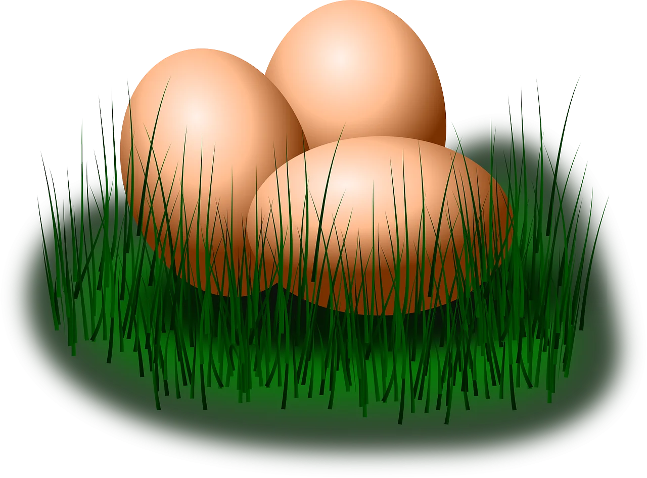 Three Fresh Farm Eggs Nestled in Lush Green Grass Clipart Illustration