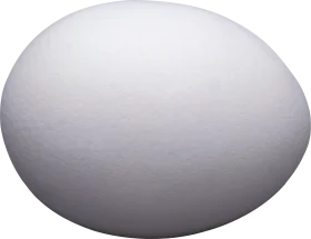 Minimalist Smooth White Egg Clipart with Soft Gradient Shading